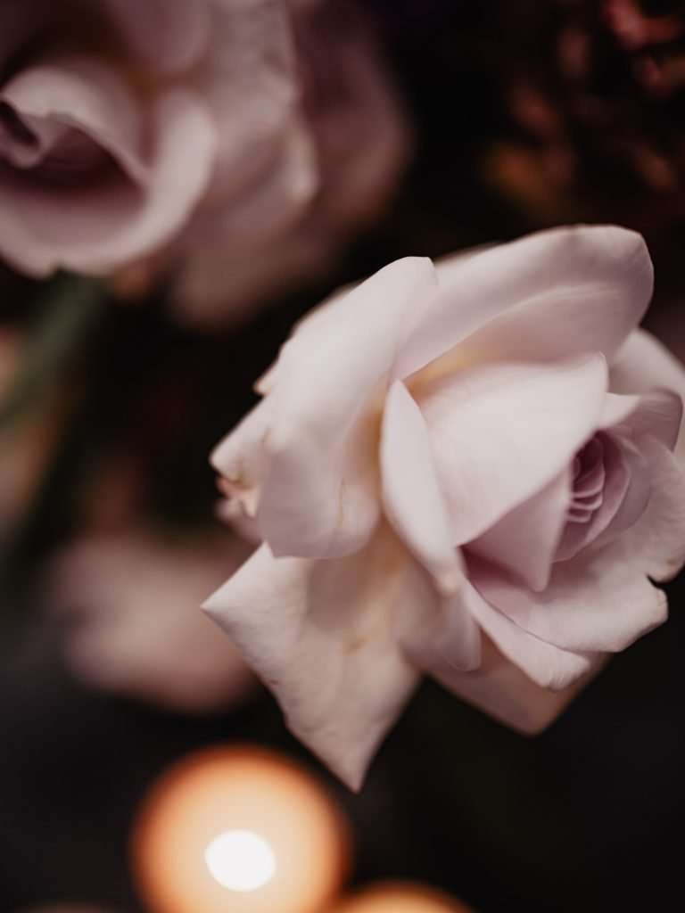 photographe de mariage lille mon premier salon photo - photos de fleurs 