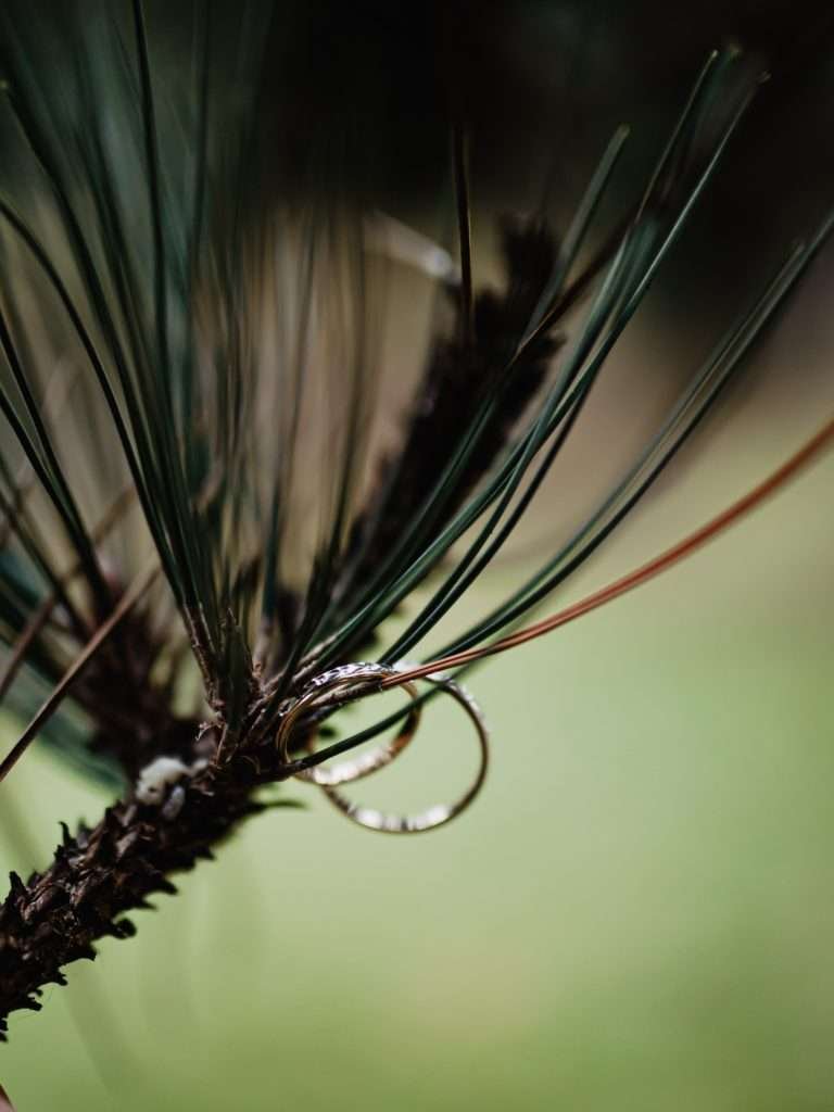 fotografa de casamento lille