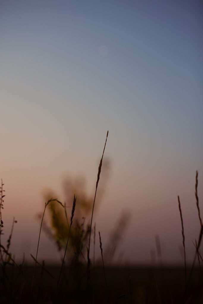 Winnipeg photos