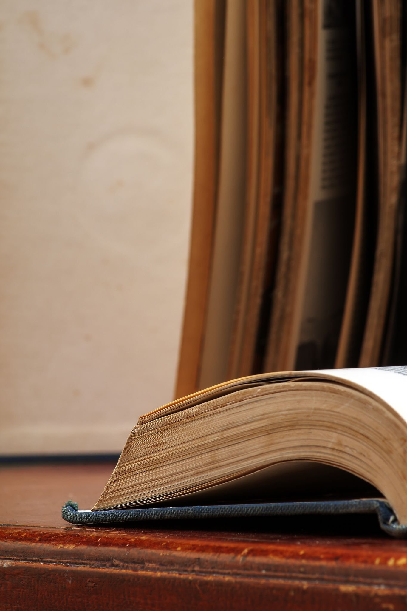 A detailed view of old books arranged on a wooden shelf, showing their spines and edges.